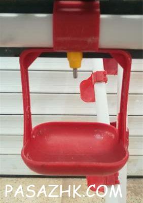 I800X500_053880954017