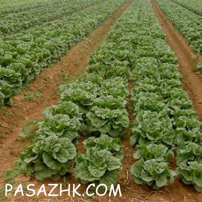 I800X500_089061591536