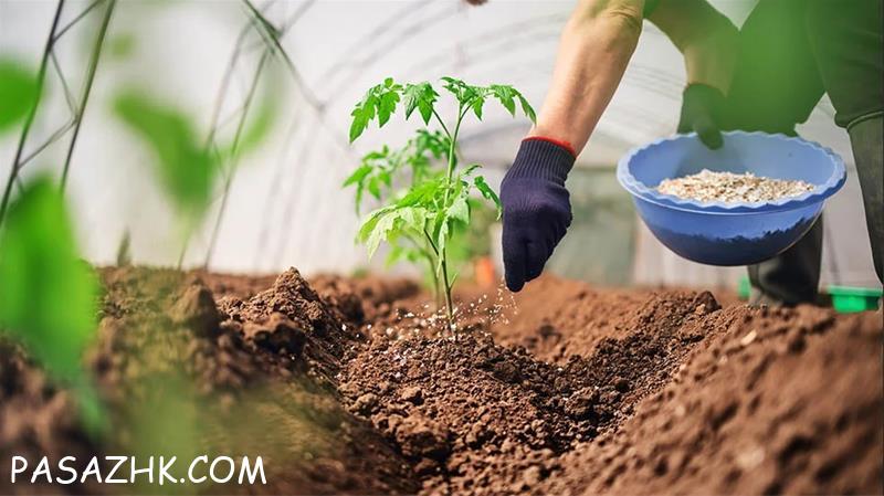 تولید و فروش کود شیمیایی و ارگانیک با فرمول انحصار