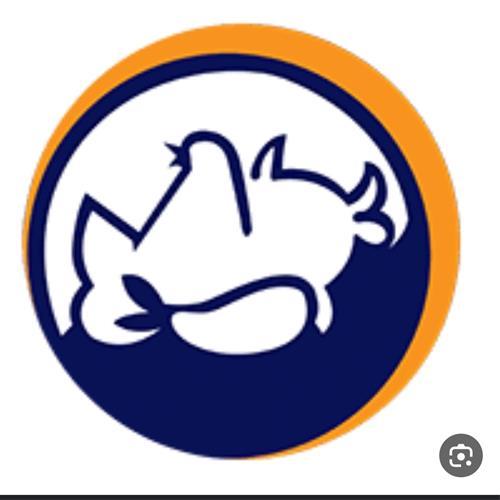 بهترین خریدار ضایعات و خمیر مرغ با پرداخت نقدی و فوری