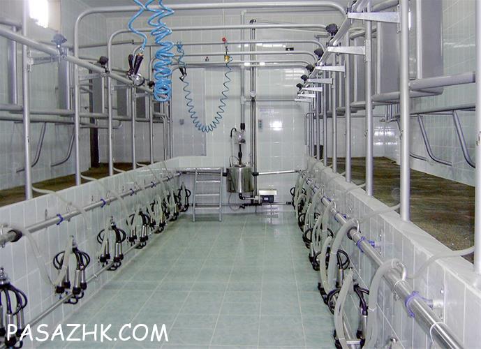 سیستم های شیردوشی ثابت دامداری