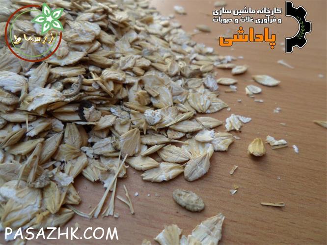 فروش عمده جو و ذرت فلیک شده دامی