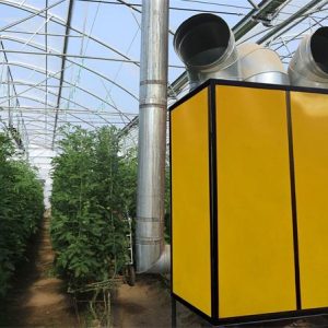 I800X500_427012206867