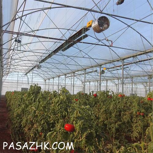 گلخانه خود را با بهترین سیستم گرمایشی تجهیز کنید