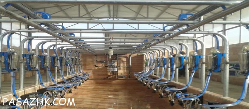 سیستم های شیردوشی ثابت دامداری