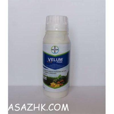 I800X500_880893915411