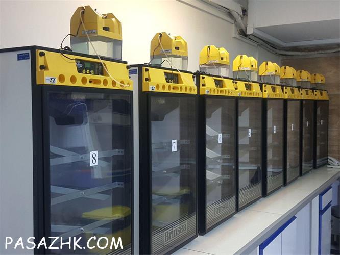 فروش دستگاه جوجه کشی زیر قیمت