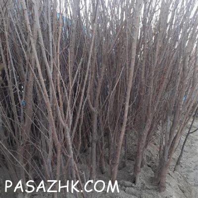 I800X500_984203201640