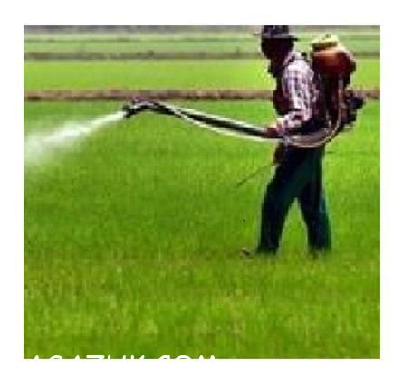 فروش سم علف کش تیتوس ، ریم سولفورن دو پونت