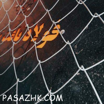 web-1680321422538-79490397-q65uBXcSrZKzmhNiiWFdmz4OhNZ19EuqM1IW8SNY