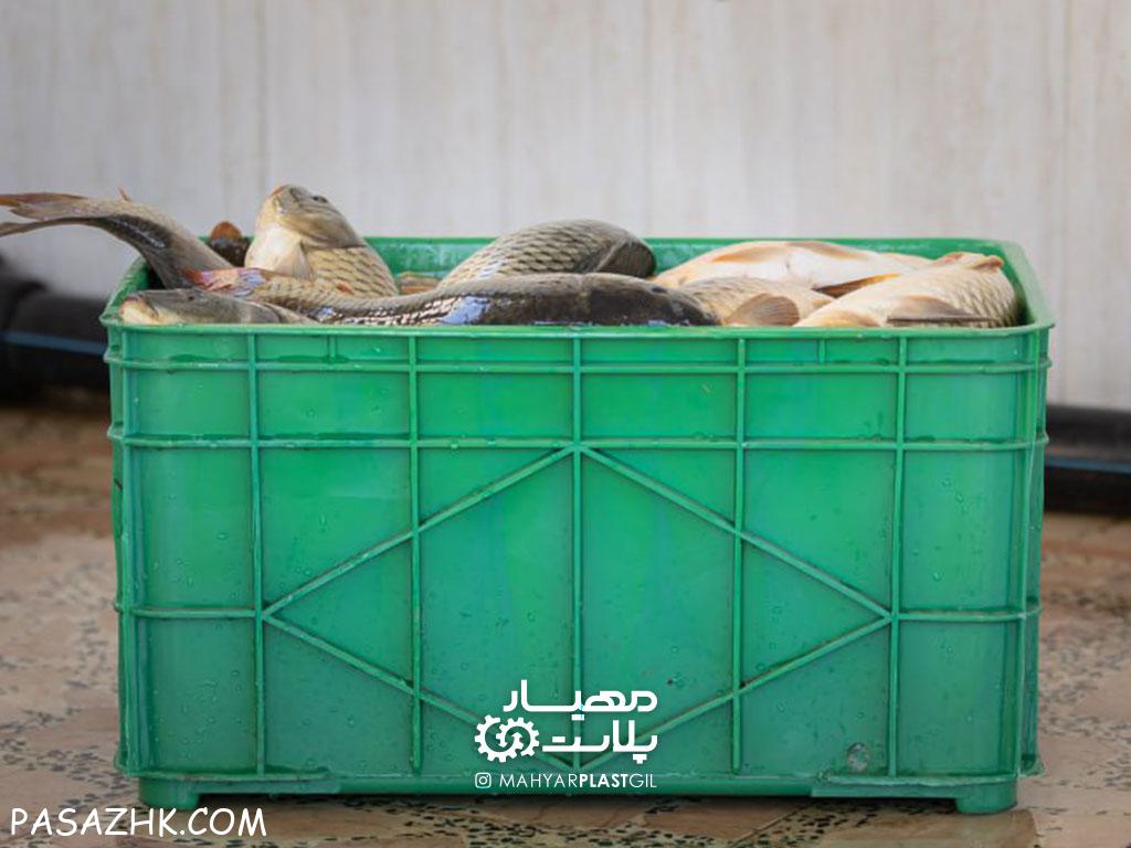سبد ۴۰کیلویی آبزیان (سبد صادراتی ماهی)