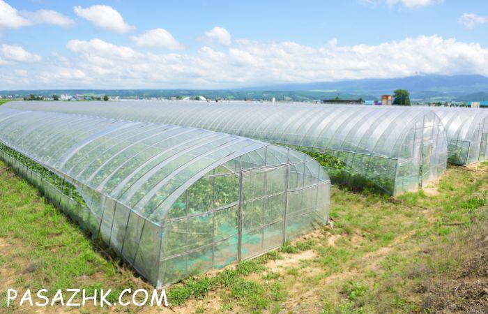 خریدار و اعلام نیاز احداث گلخانه