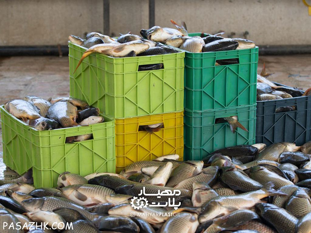 سبد ۴۰کیلویی آبزیان (سبد صادراتی ماهی)