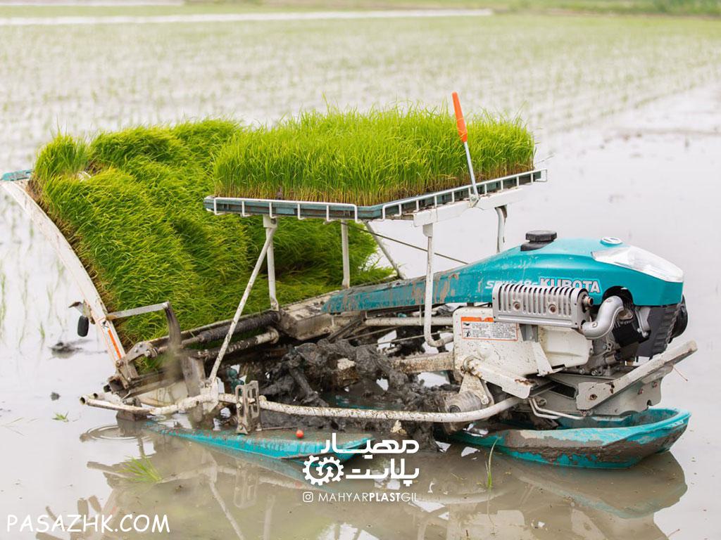 سینی نشا (باکس نشا برنج)