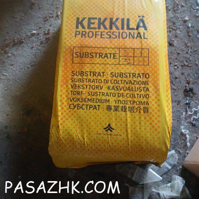 capture_2971230618795779809