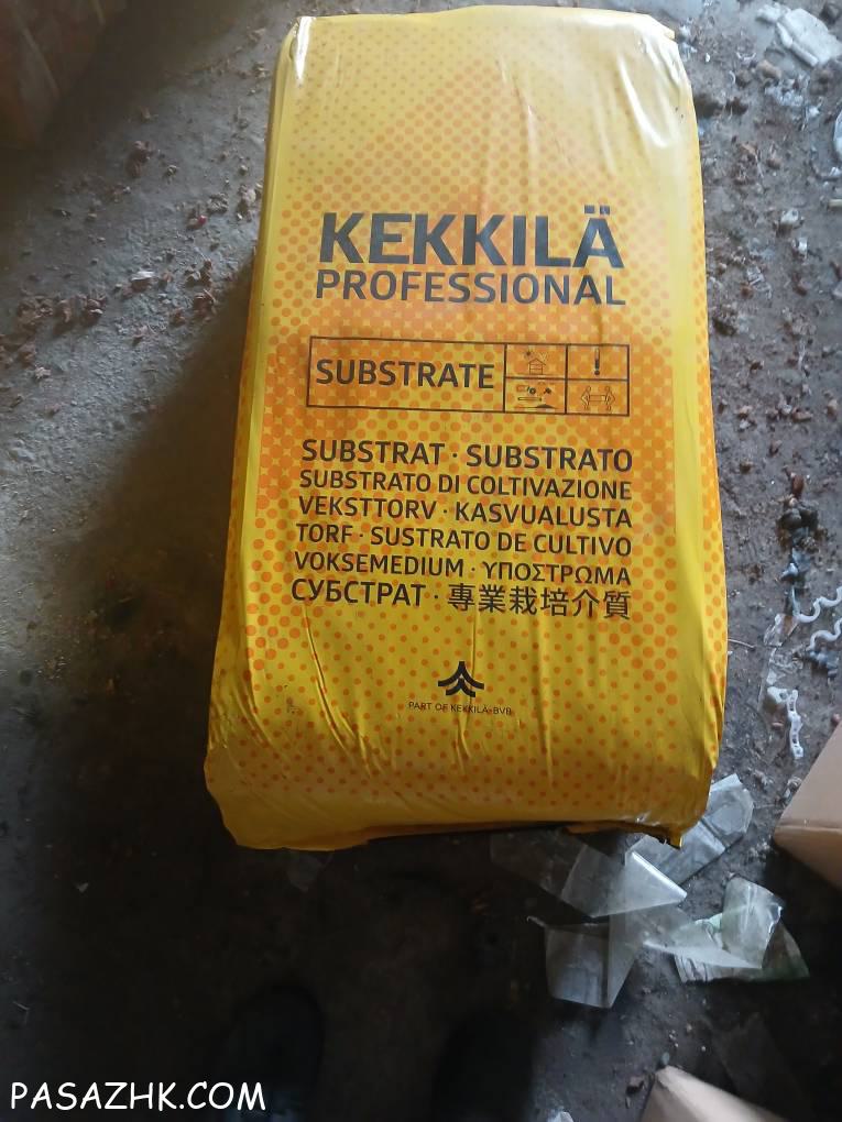 فروش پیت ماس ککیلا