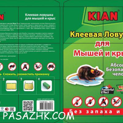 photo_2024-11-11_11-17-00