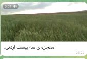 کود های AGROGATE