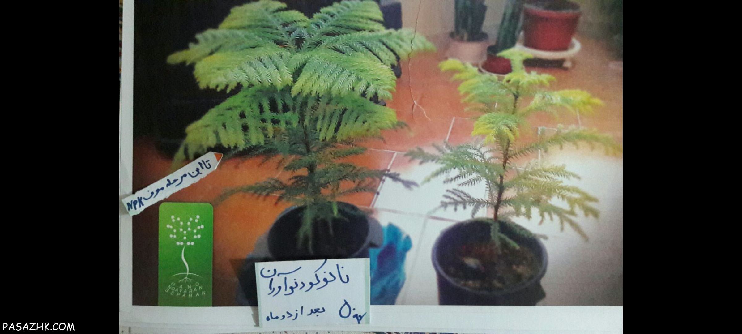 کود آلی نوآوران جذب انتخابی و کاتالیزوری