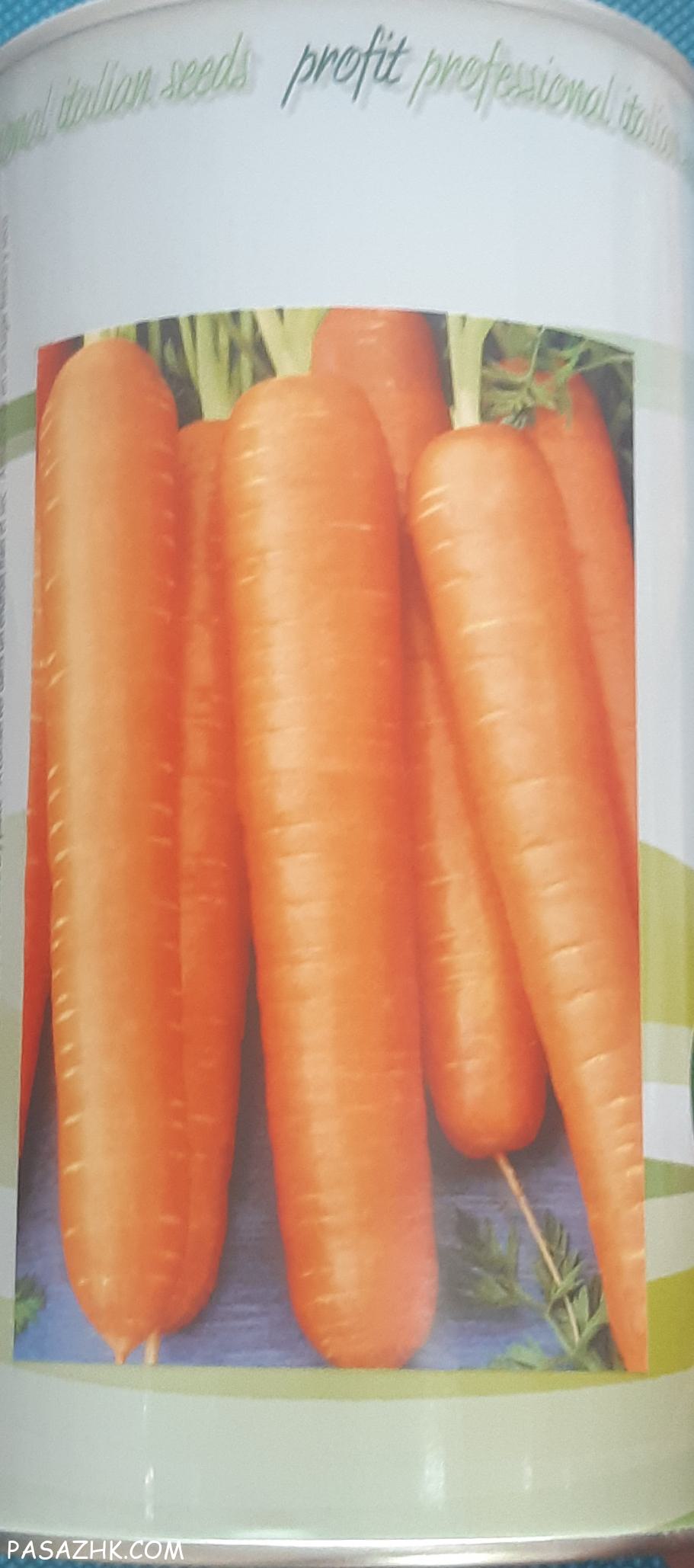 بذر هویج هیبرید ایتالیا