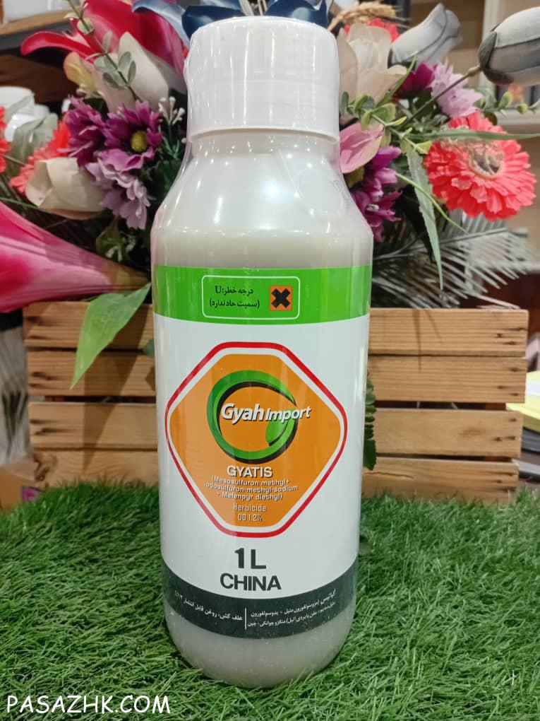 کارشناسی گیاهان آپارتمانی و باغ