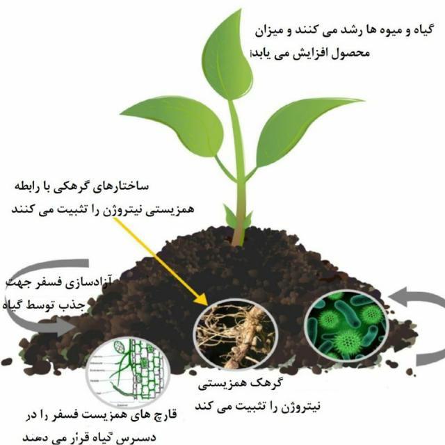 کود ارگانیک تضمینی(افزایش تناژ، کیفیت بار)