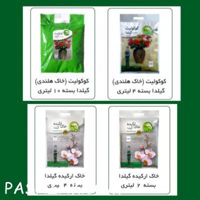 photo_2025-02-04_13-49-07