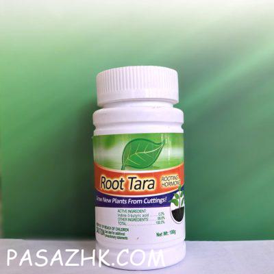 photo_2025-02-04_15-44-29