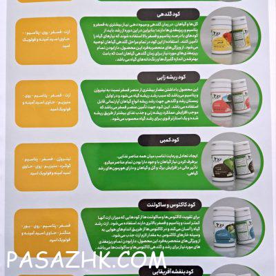 photo_2025-02-04_15-51-56