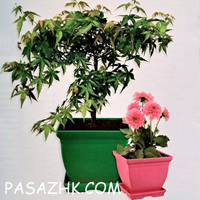 photo_2025-02-04_16-08-42