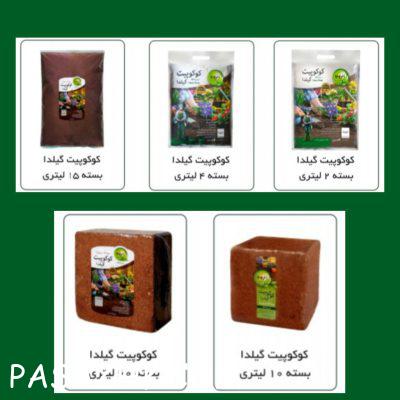 photo_2025-02-04_16-12-22-1