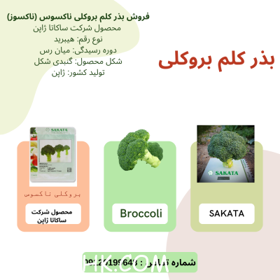 بذر-کلم-بروکلی-ناکسوس-ساکاتا