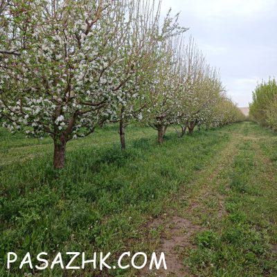 IMG_20240905_095540_689