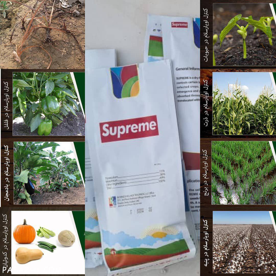 علفکش اویارسلام