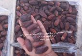 خرید و فروش خرمای زاهدی درجه یک