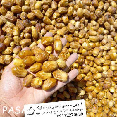 IMG_20240107_210828_691