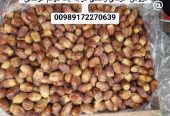 خرید و فروش خرمای زاهدی درجه یک