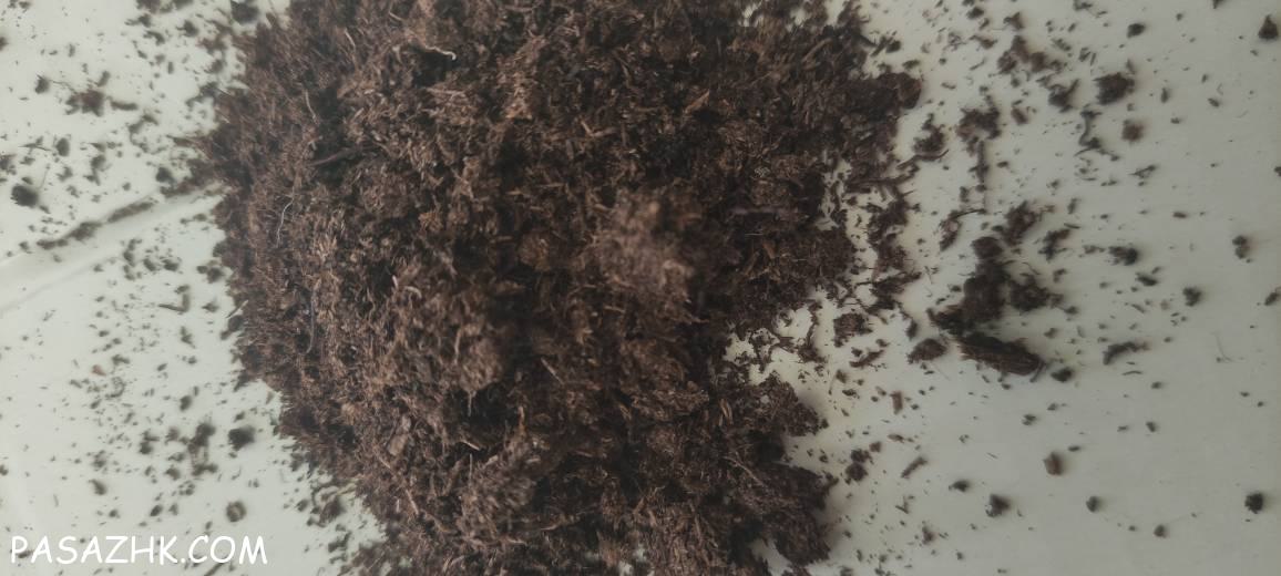 فروش پیت ماس ککیلا