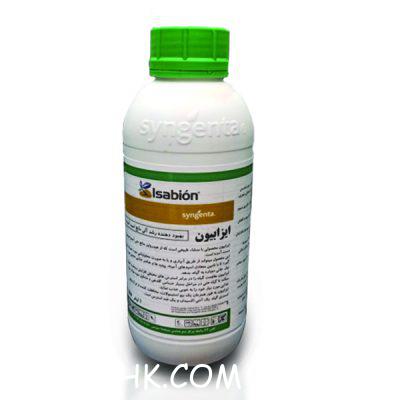 bazare-isabion-sengenta