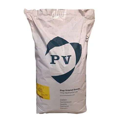 بذر اسفناج استاندارد ماتادور پوپ