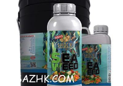 جلبک-دریایی-شوک