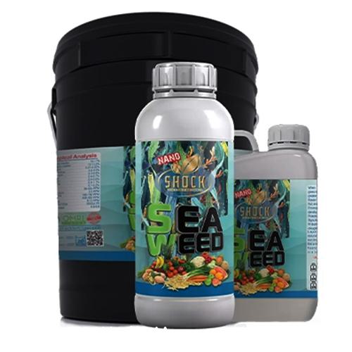 کود جلبک دریایی شوک