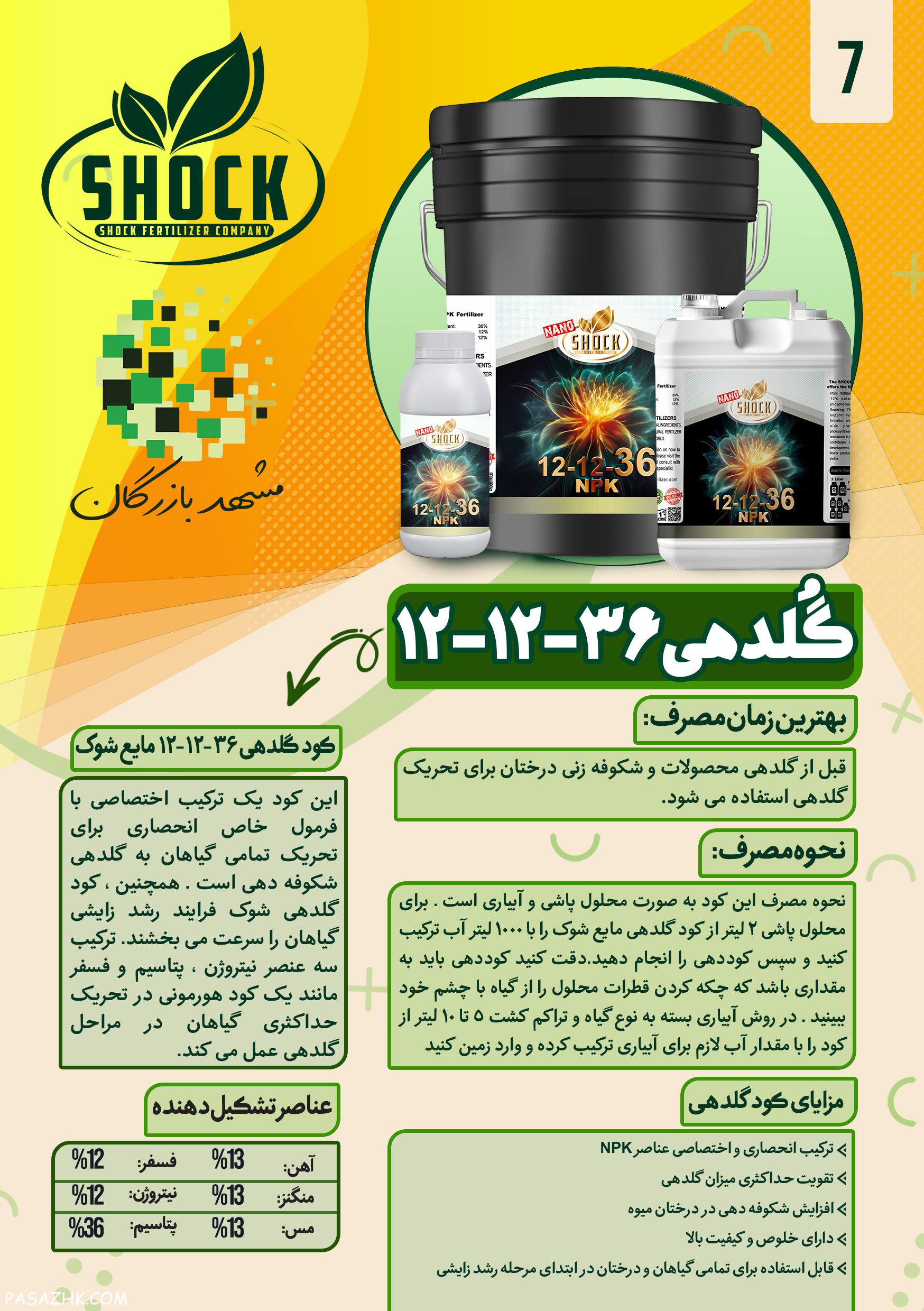 گلدهی ۱۲ ۱۲ ۳۶ برند شوک