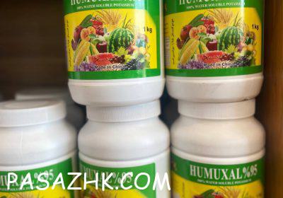 IMG_20250803_160317_772