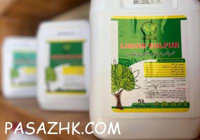 IMG_20250803_160412_753