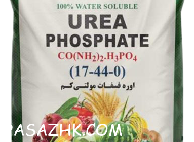 InShot_20241130_160804568-1024×1024-1