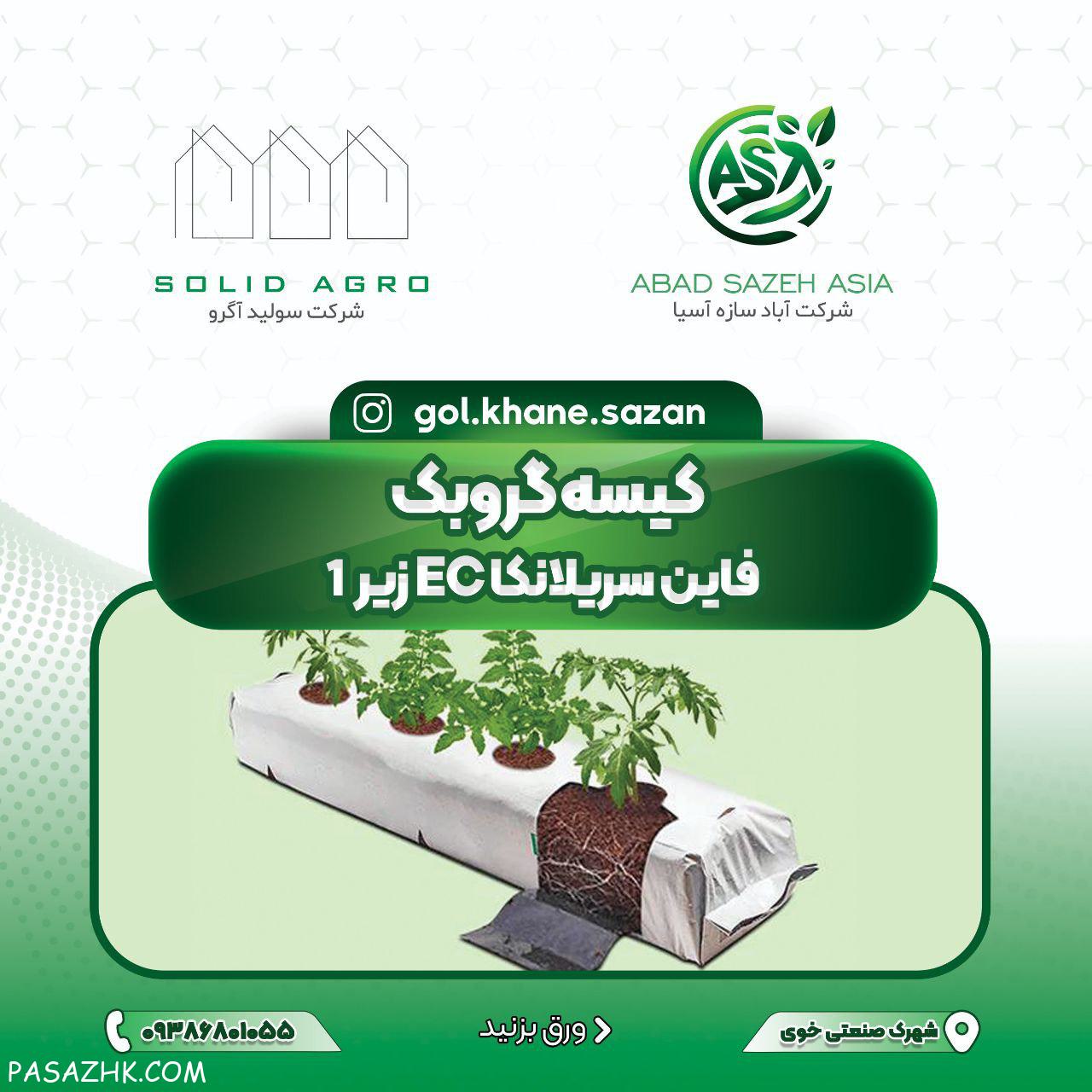 کیسه گروبک سریلانکا