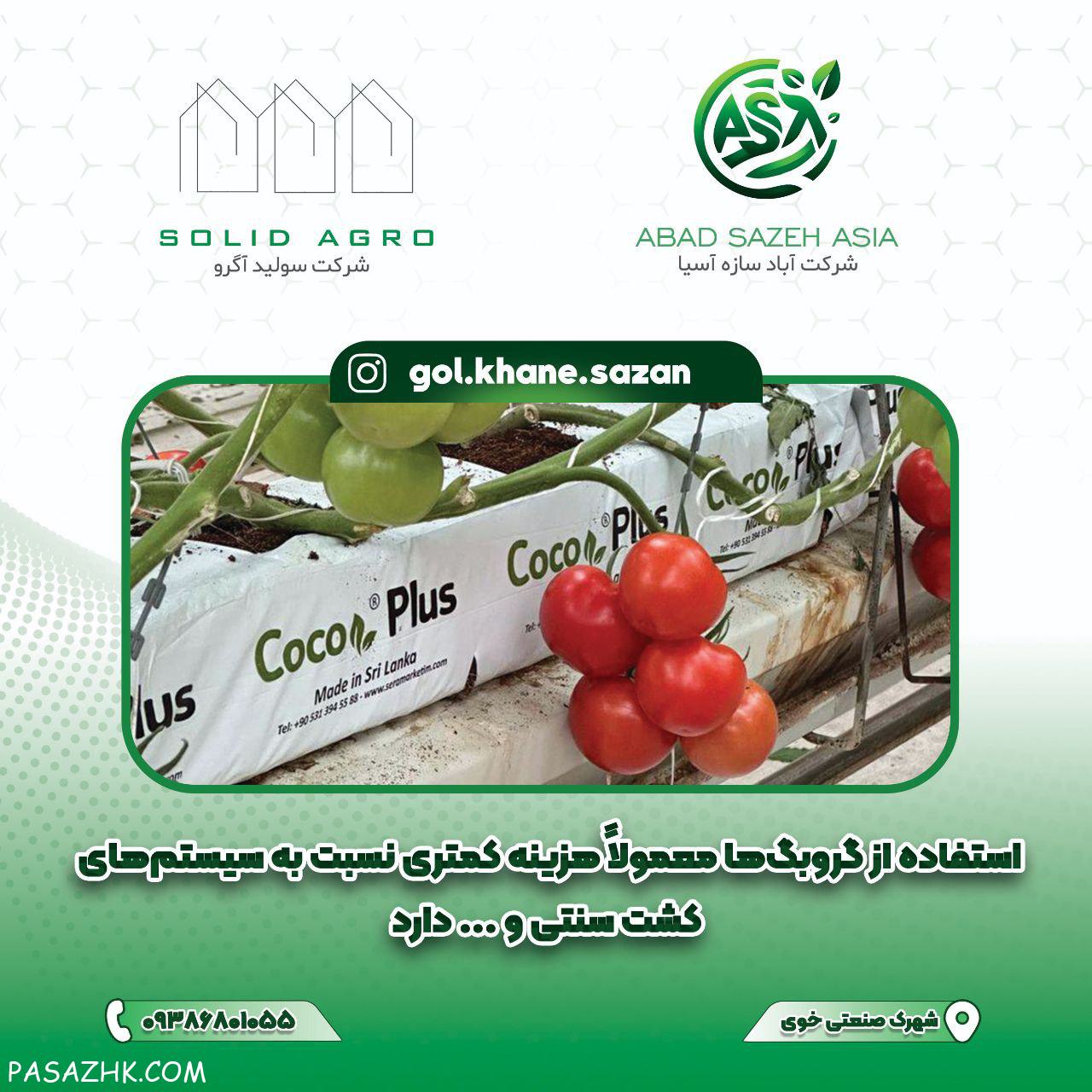 کیسه گروبک سریلانکا