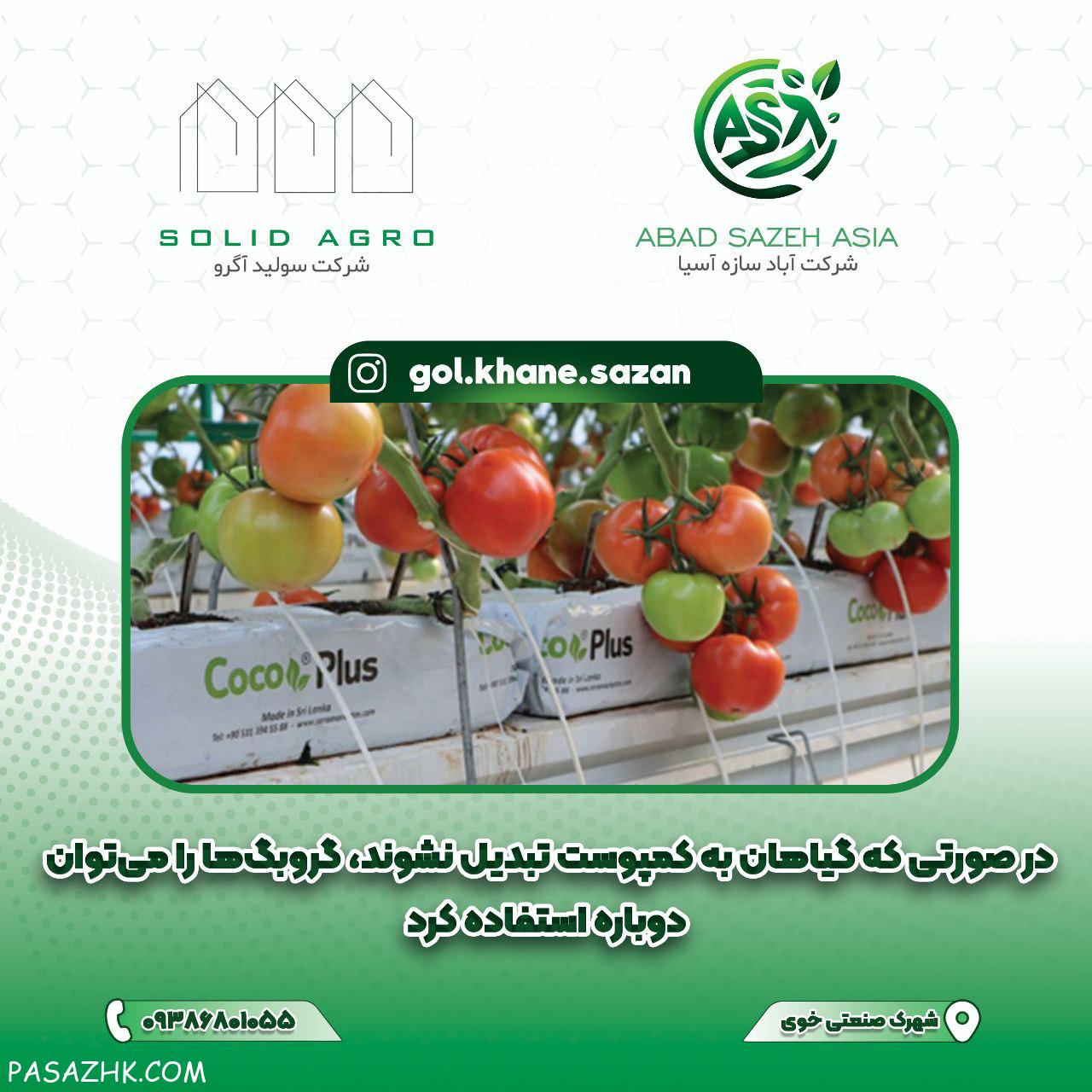 کیسه گروبک سریلانکا