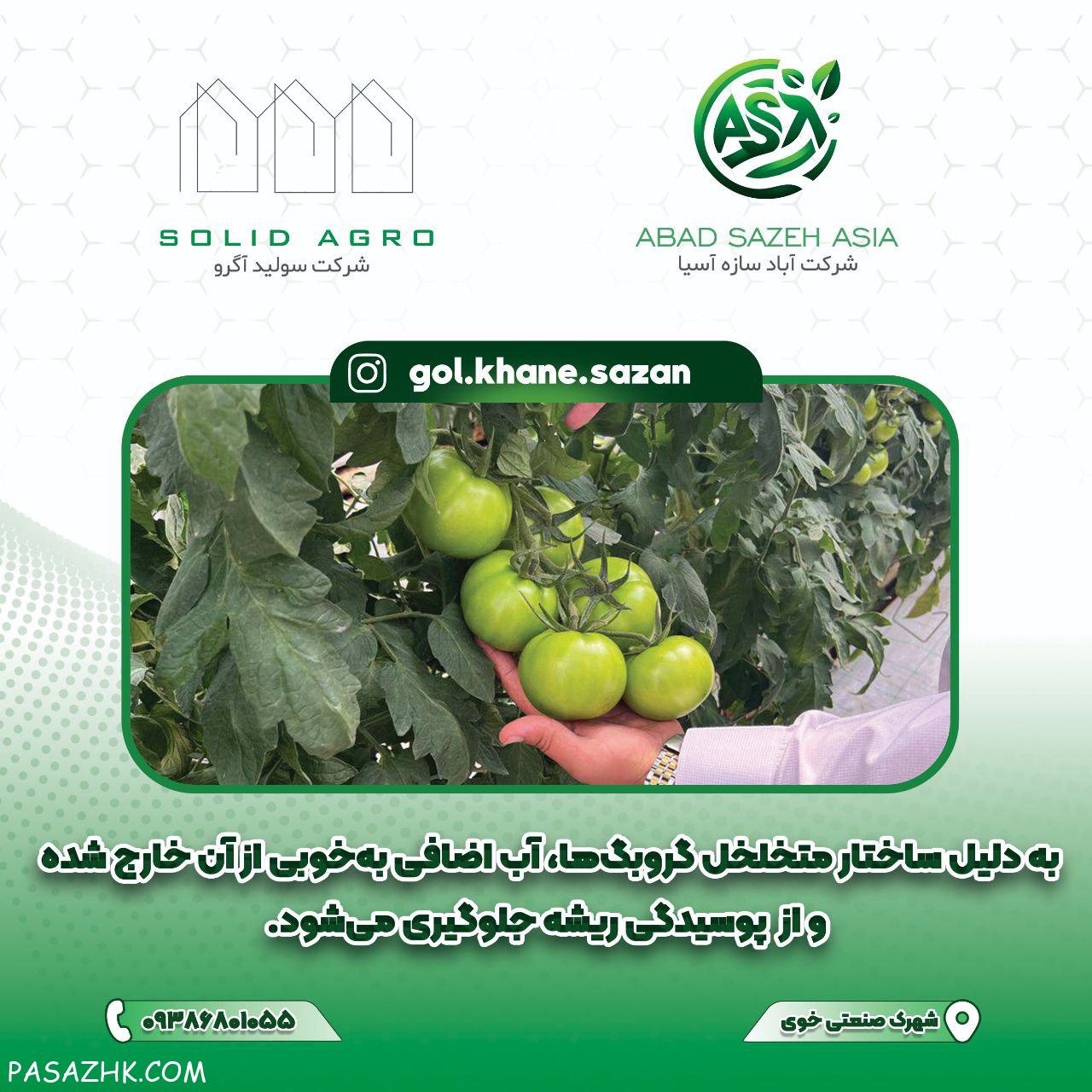 کیسه گروبک سریلانکا